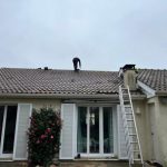 nettoyage toiture gif sur yvette 91