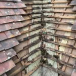 changement noue toiture palaiseau changement noue toiture palaiseau